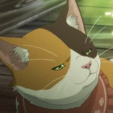 Oi-san