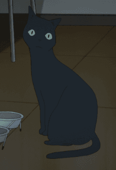 Tako