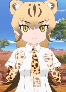 Cheetah