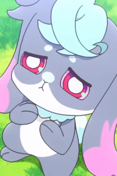 Puuka