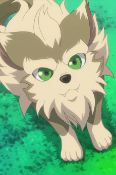 Marou