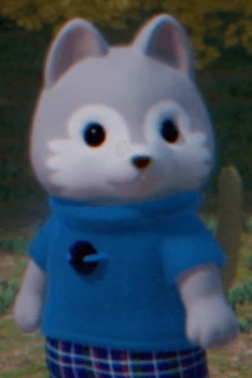 Vincent Husky
