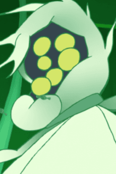 Dr. H