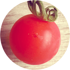 pomodorosa
