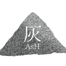 Arata Hirasaka