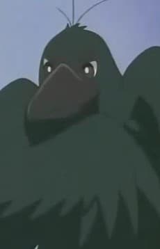 Hashibuto-san