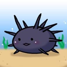 Uni