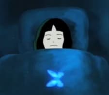 Blue Butterfly