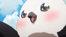 Cocopo