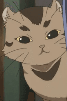 Kinnosuke