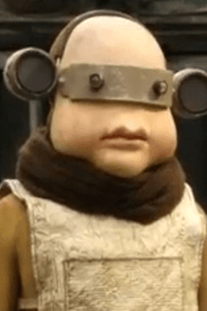 Porcino