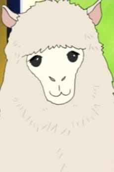 Alpaca