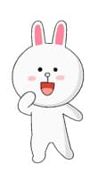 Cony