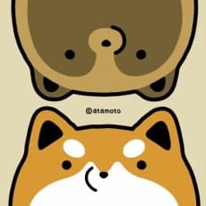Atamoto