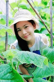 Yinghui Chen