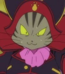 Cat Master