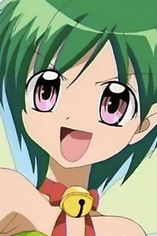 Arara