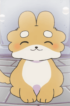 Pochi