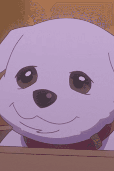Koinu